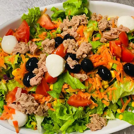 Iris 酒店 里米尼